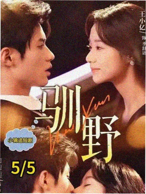县城播音员剧集书架封面